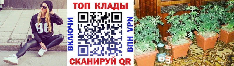 Купить наркотик аптеки Кологрив МАРИХУАНА  Cocaine  Кетамин  Мефедрон  OMG   Псилоцибиновые грибы  A PVP 
