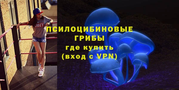 мдпв Иннополис