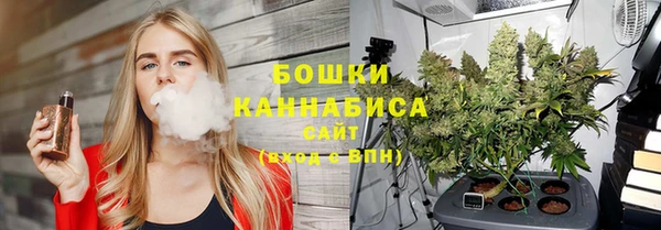 первитин Инта