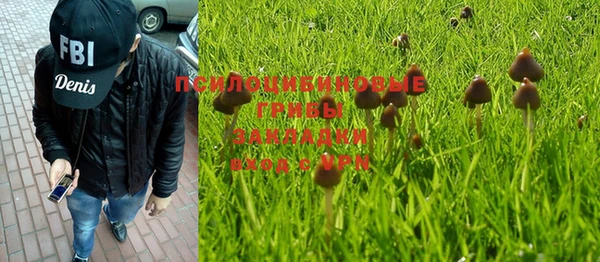 мдпв Иннополис
