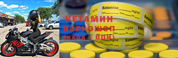 прущие грибы Щёлкино