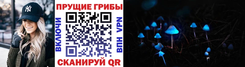 Псилоцибиновые грибы Cubensis  где найти   Кологрив 
